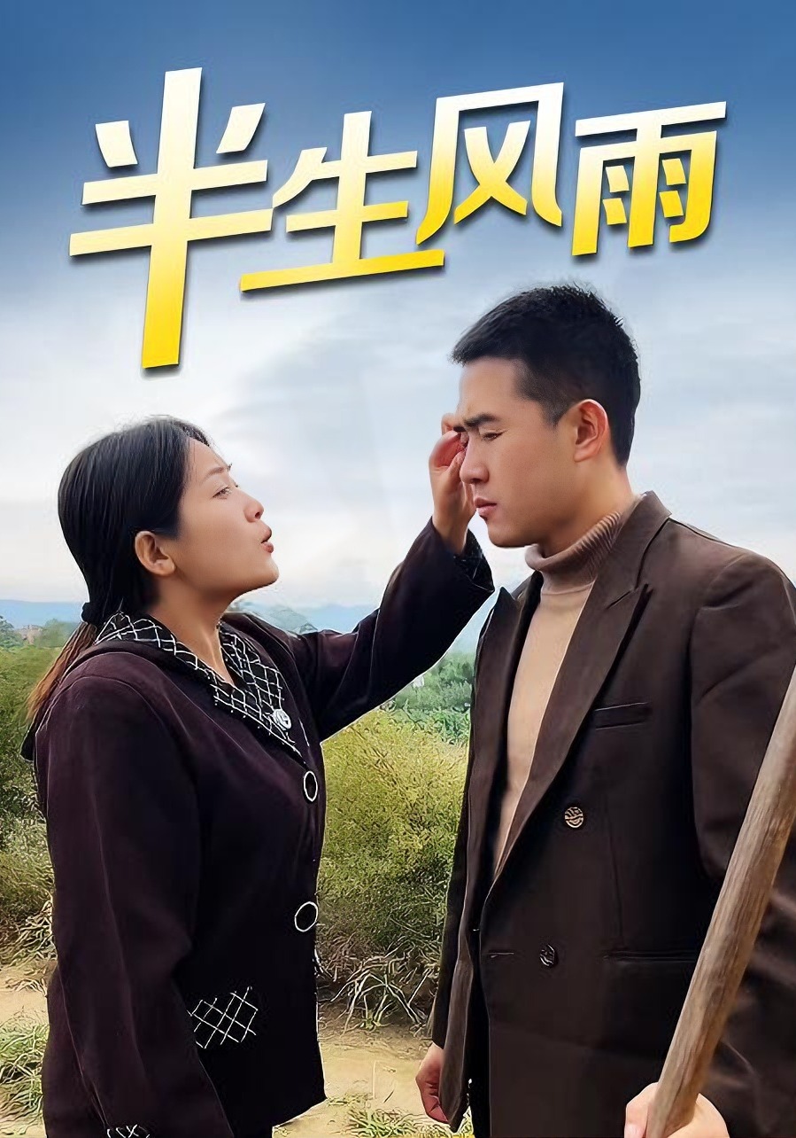半生风雨封面图