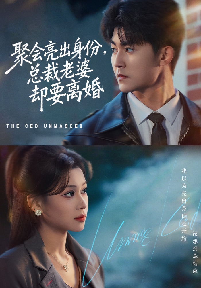 聚会亮出身份，总裁老婆却要离婚