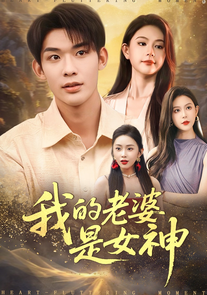 我的老婆是女神封面图