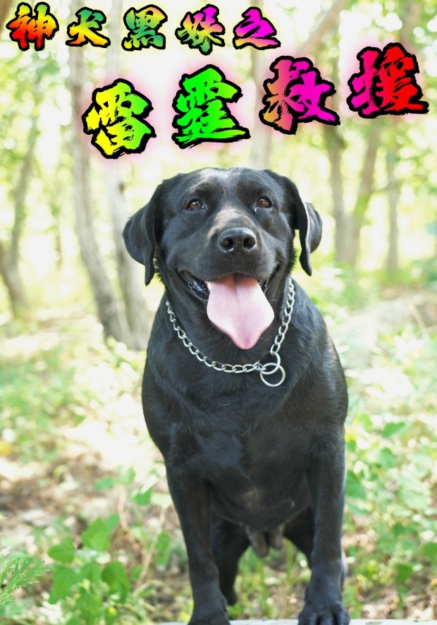 神犬黑妹之雷霆救援