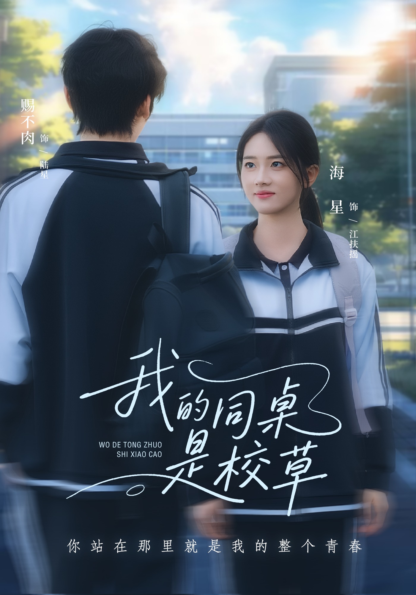 我的同桌是校草