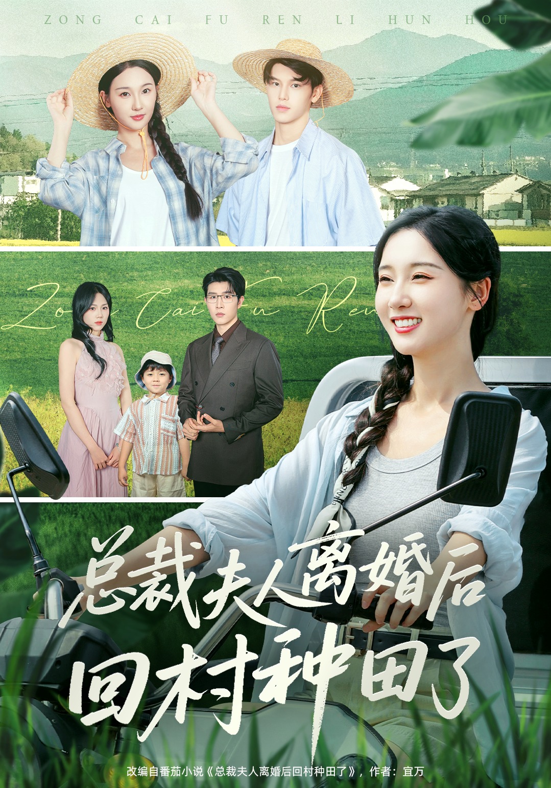 总裁夫人离婚后回村种田了封面图