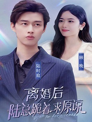 离婚后，陆总跪着求原谅