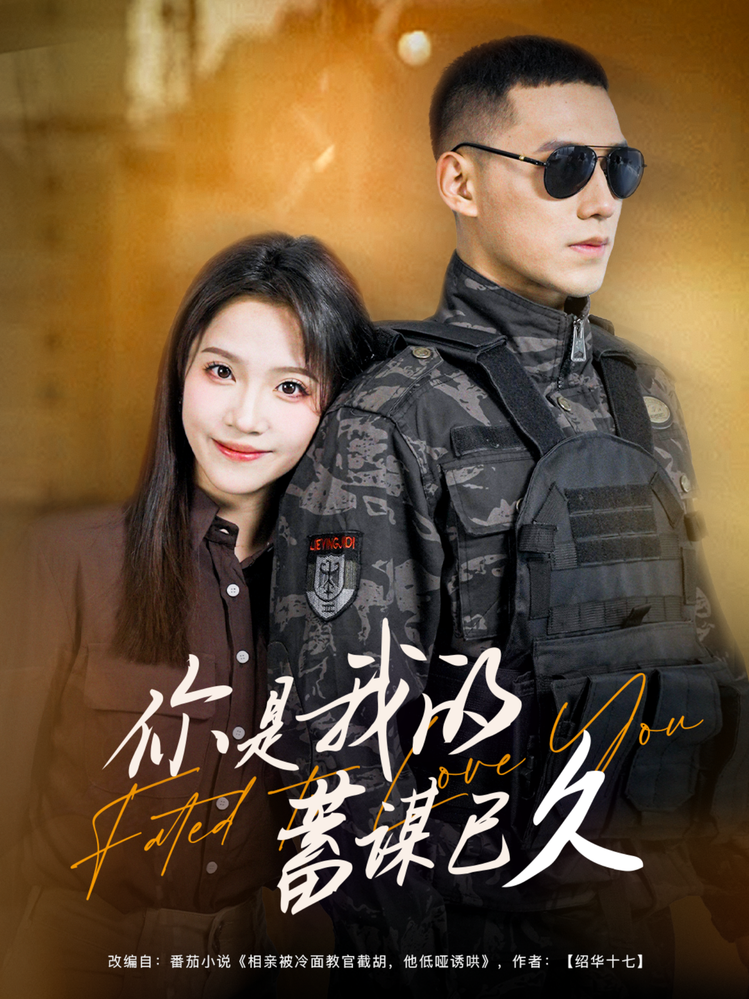 你是我的蓄谋已久}