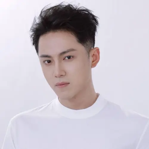 刘忠正演的短剧