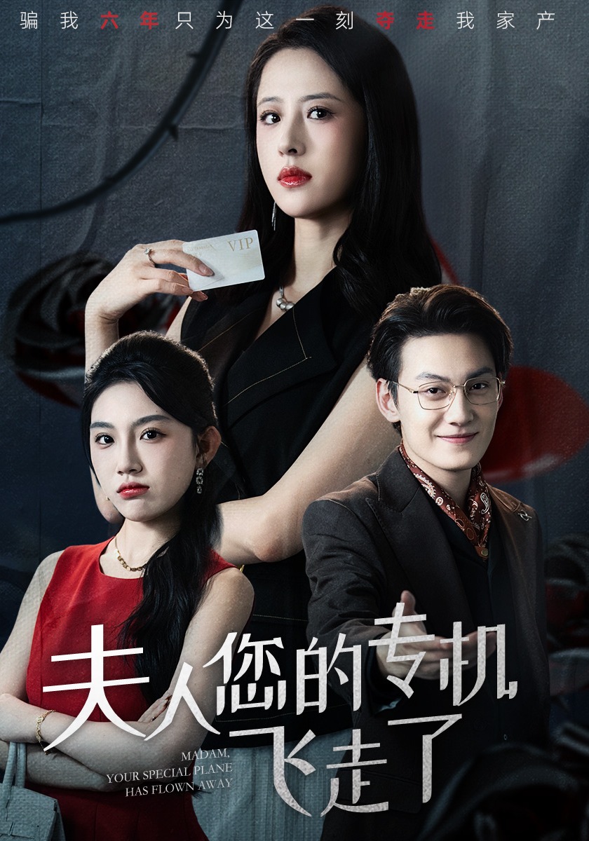 夫人您的专机飞走了封面图