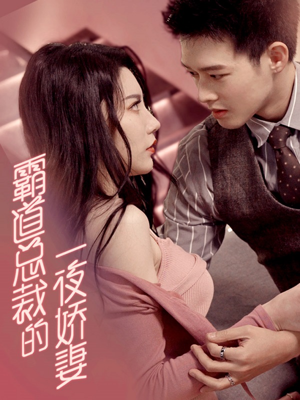 霸道总裁的一夜娇妻