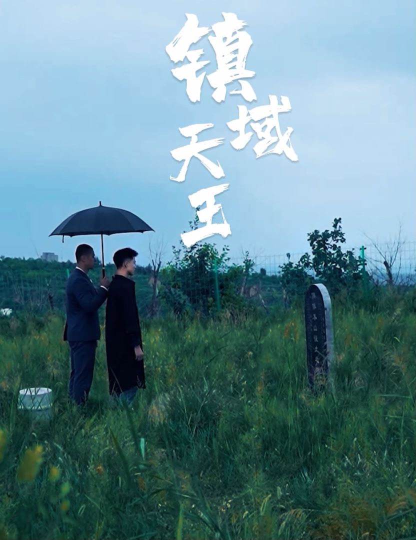 镇域天王