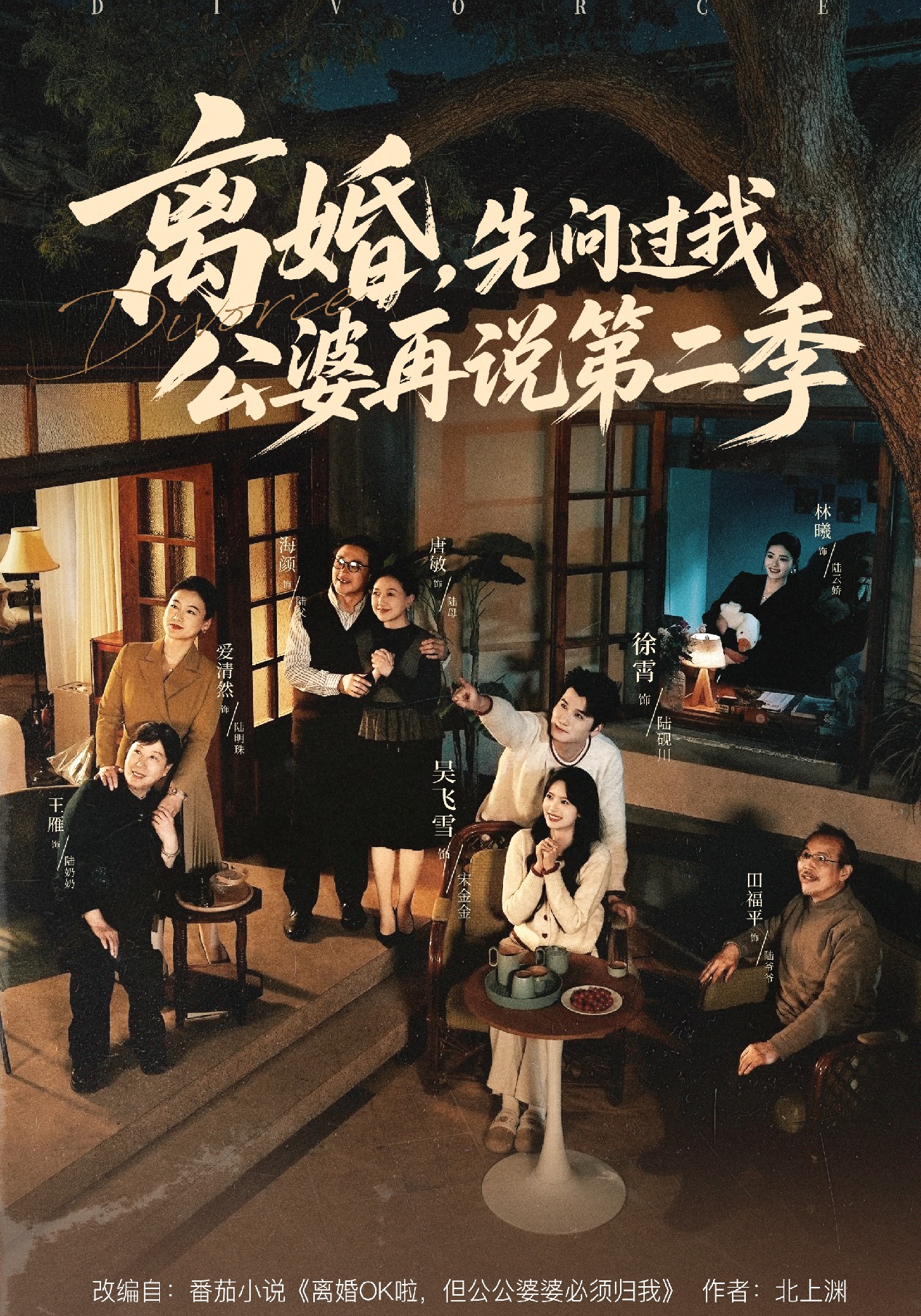 离婚，先问过我公婆再说第二季