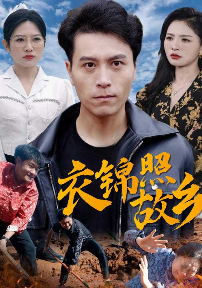 衣锦照故乡封面图