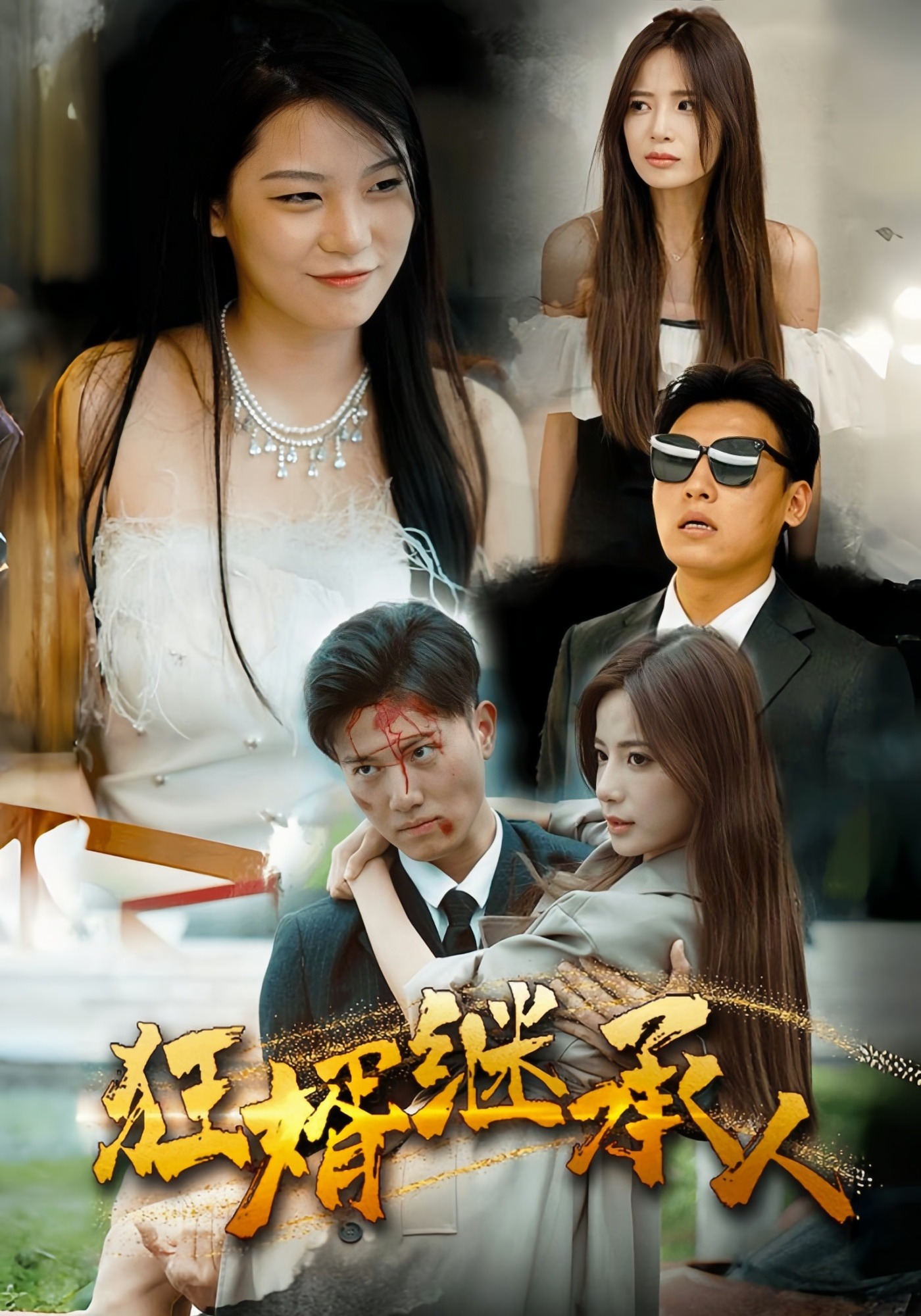 狂婿继承人
