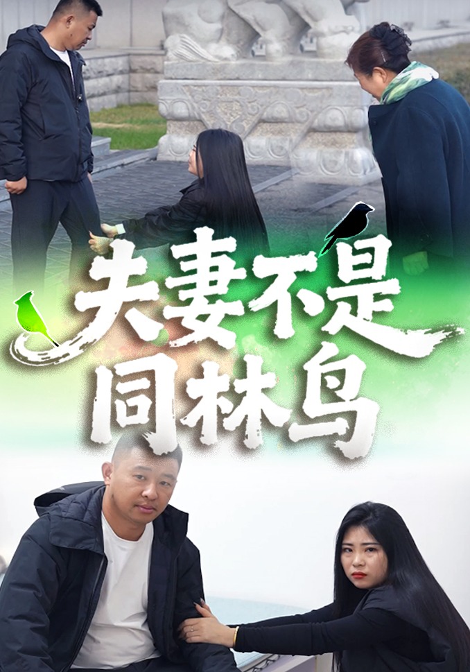 夫妻不是同林鸟