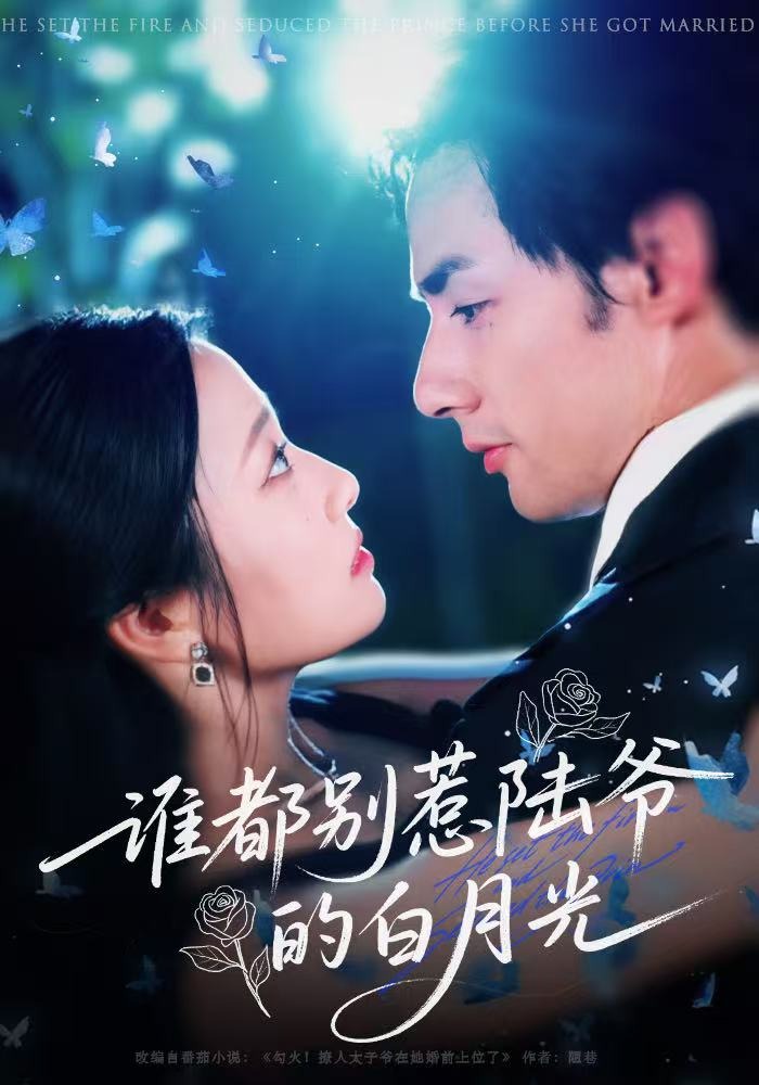 谁都别惹陆爷的白月光