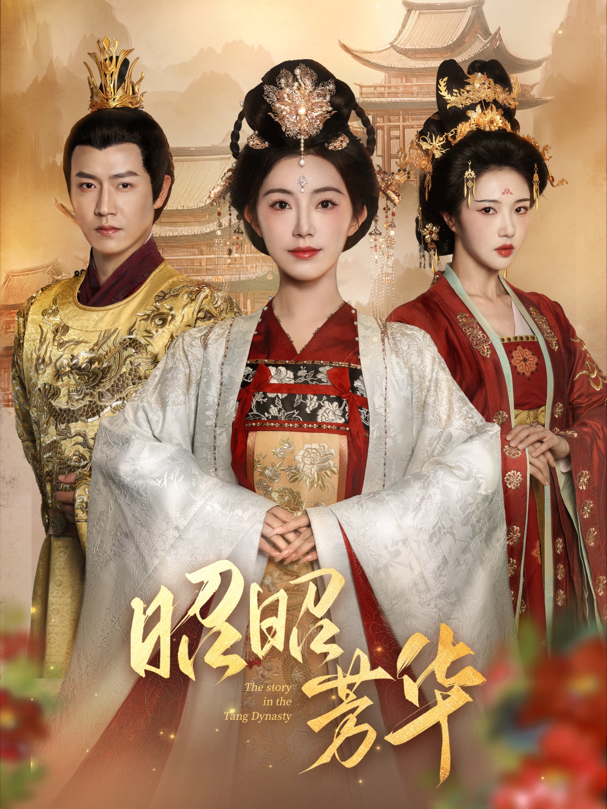 昭昭芳华封面图