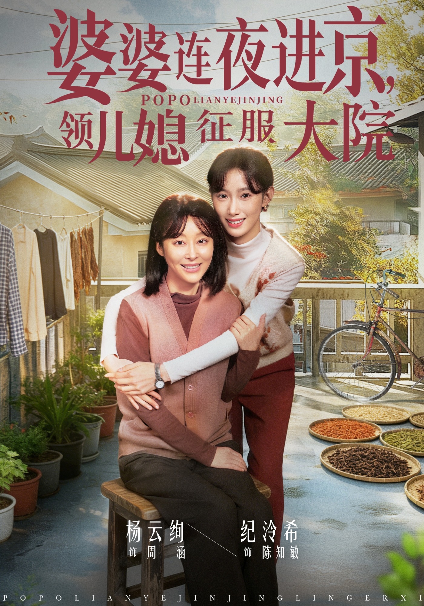 婆婆连夜进京领儿媳征服大院封面图