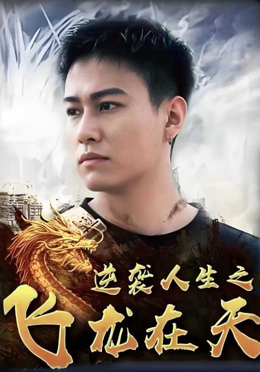 逆袭人生之飞龙在天