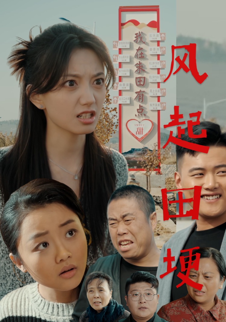 风起田埂封面图