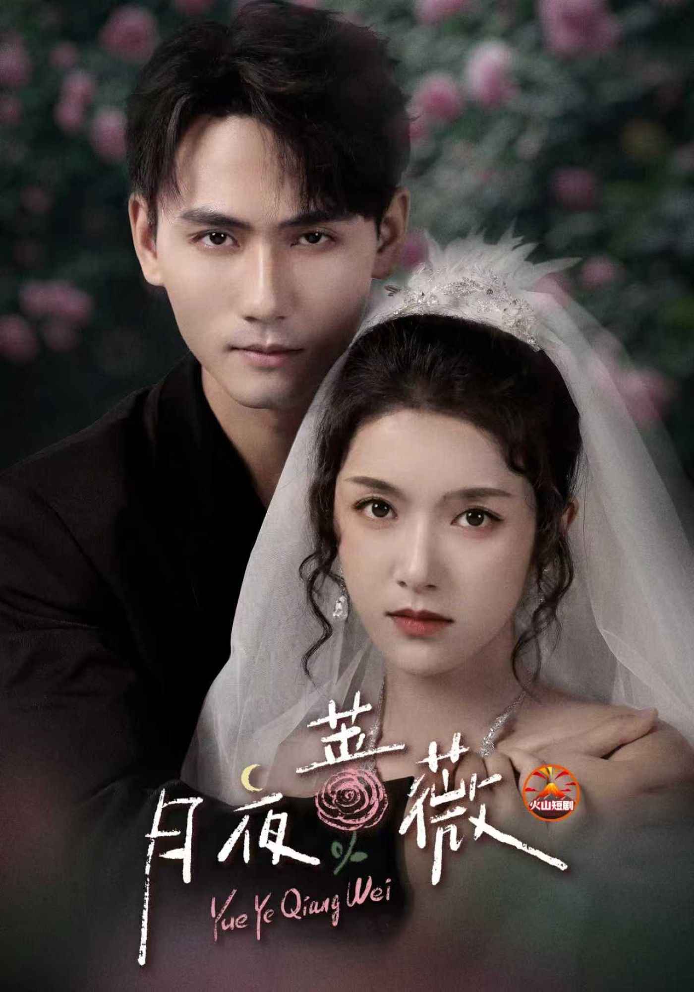 月夜蔷薇封面图