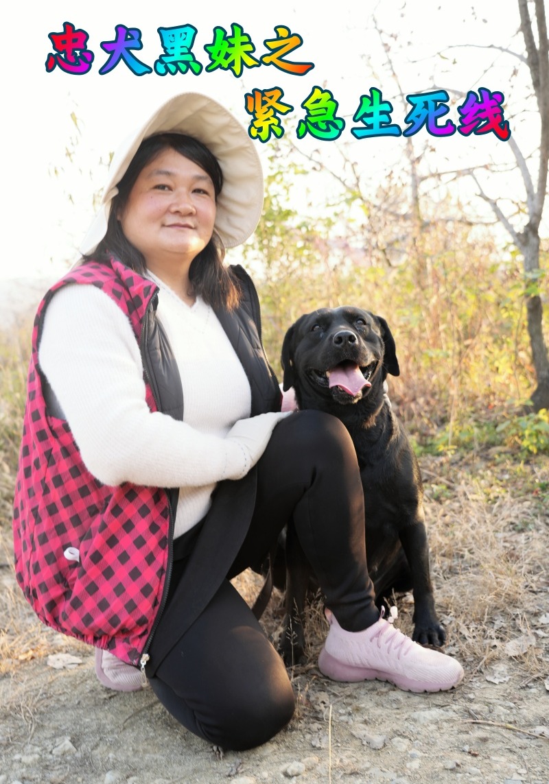 忠犬黑妹之紧急生死线