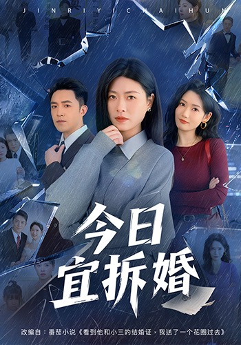 今日宜拆婚