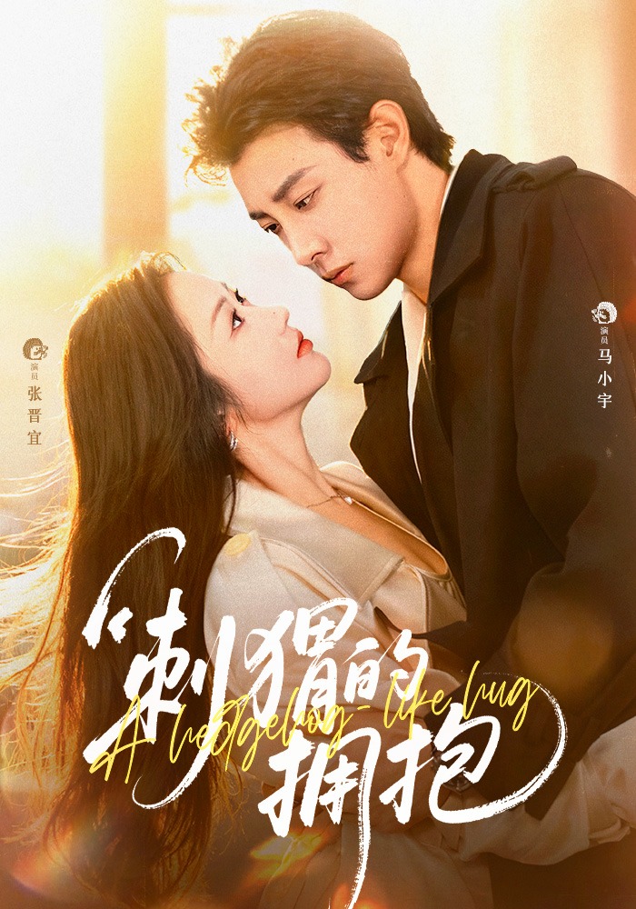 刺猬的拥抱封面图