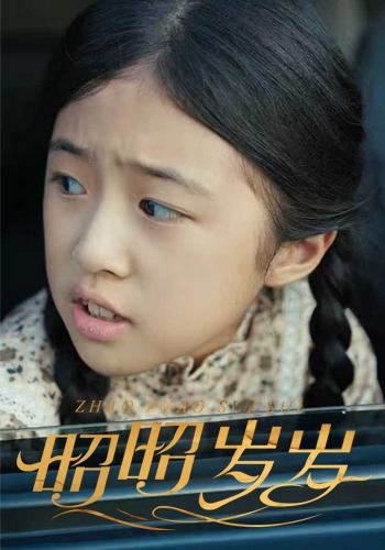 昭昭岁岁封面图