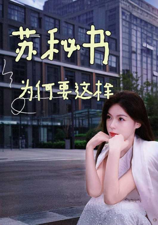 苏秘书为何要这样