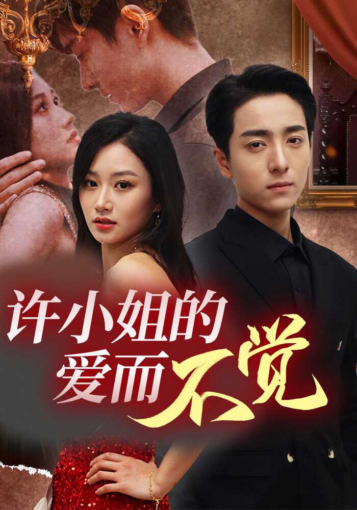 许小姐的爱而不觉封面图