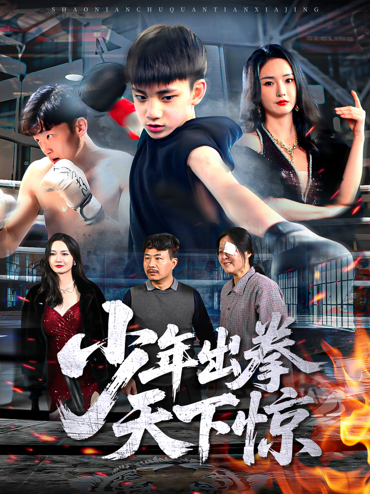 少年出拳天下惊}