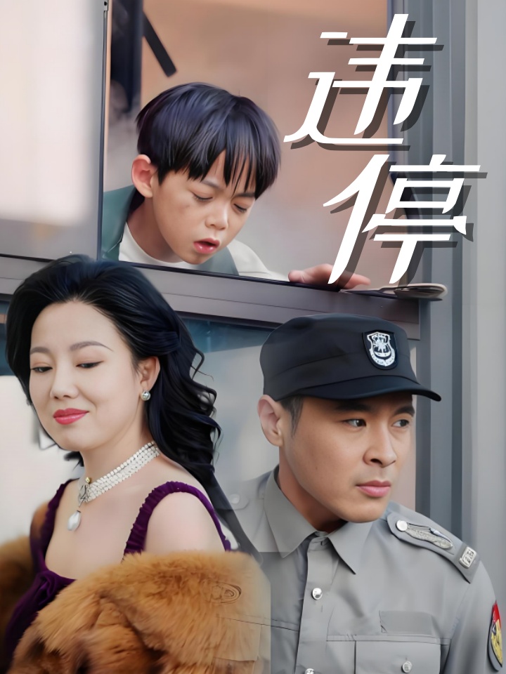 违停