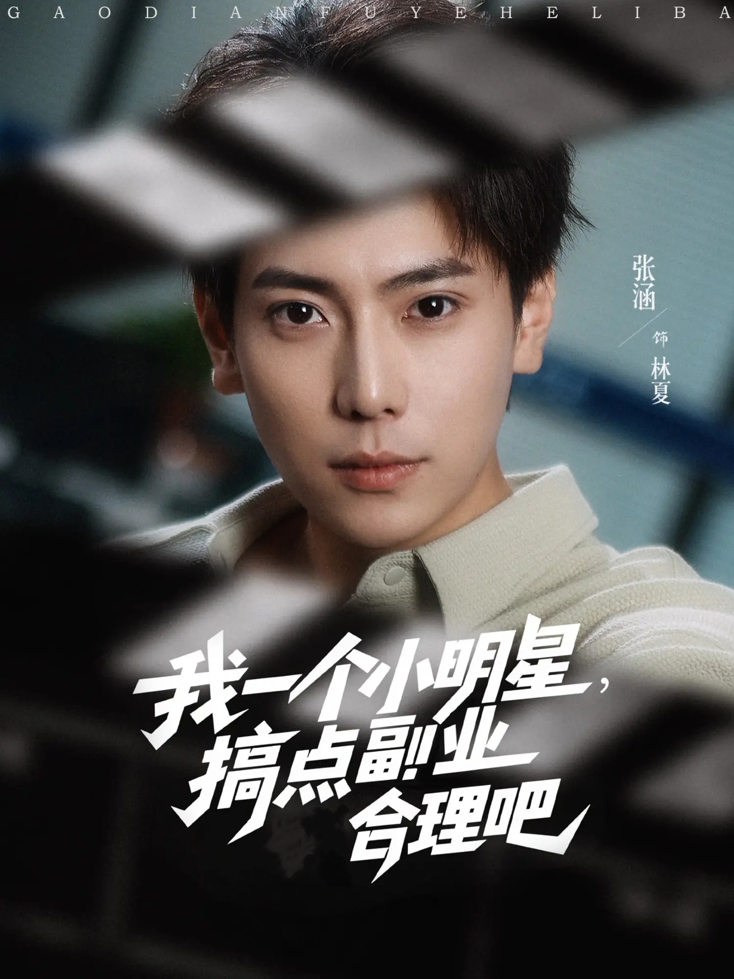 我一个小明星，搞点副业合理吧封面图