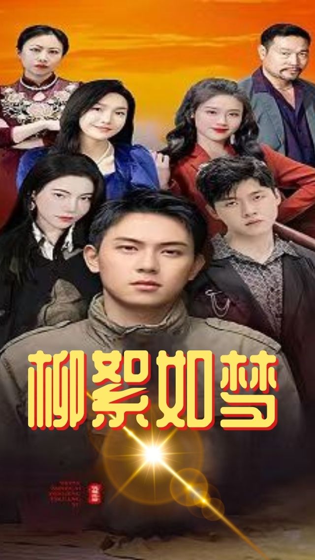 柳絮如梦封面图