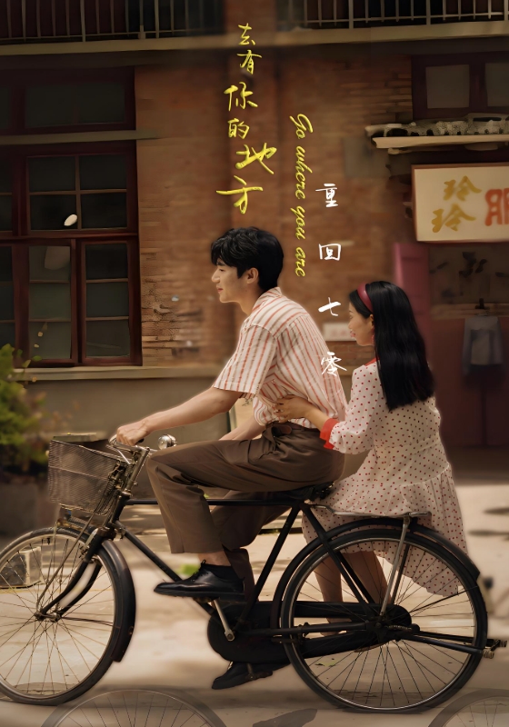 重回七零:去有你的地方