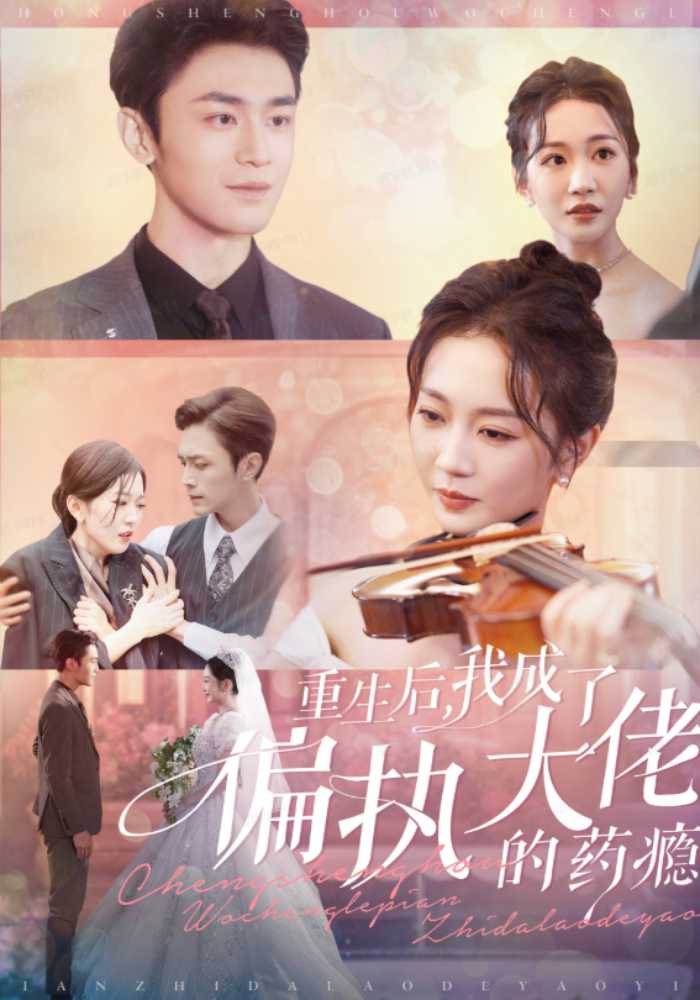 重生后我成了偏执大佬的药瘾