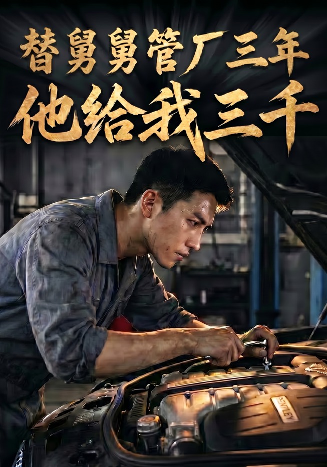 替舅舅管厂三年他给我三千