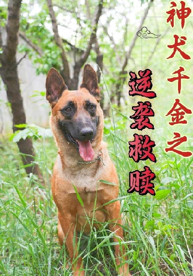 神犬千金之逆袭救赎