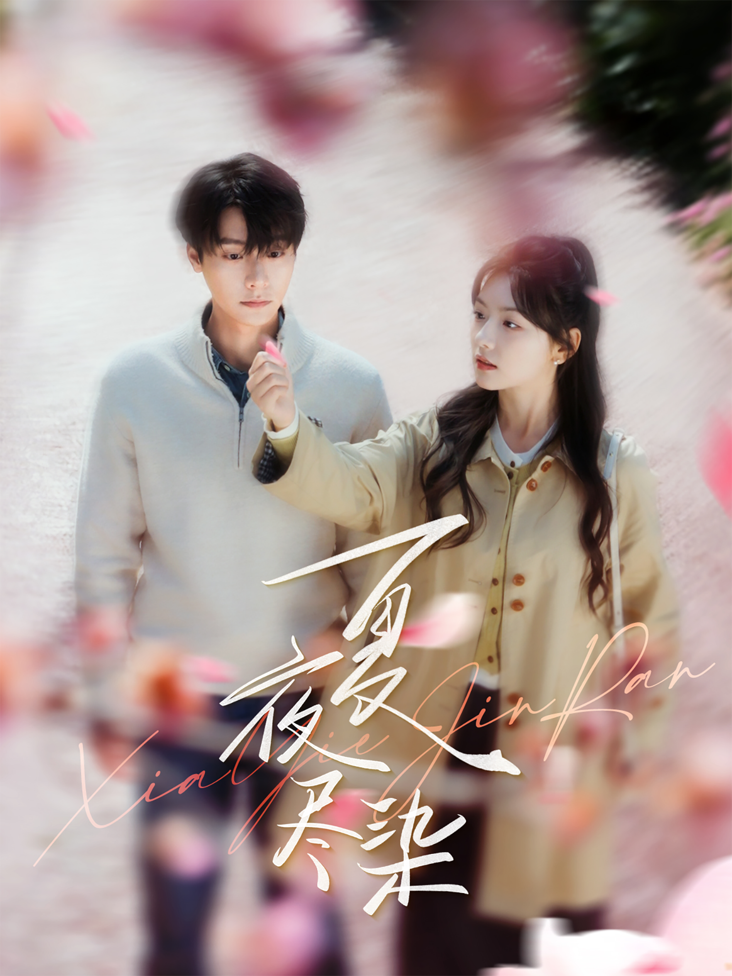 夏夜尽染封面图