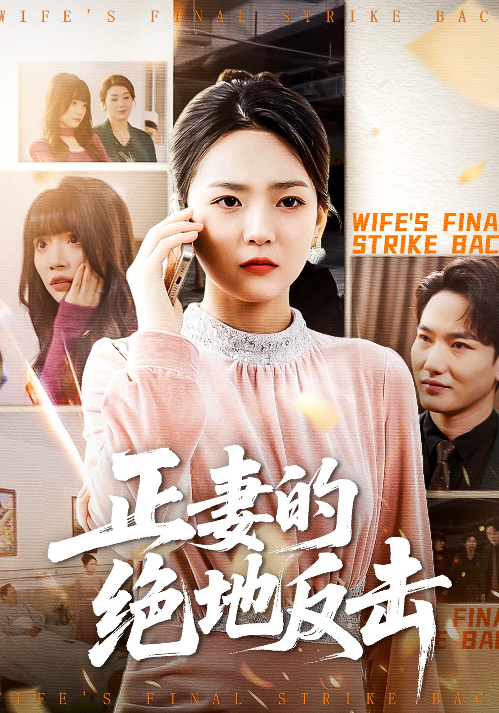 正妻的绝地反击封面图