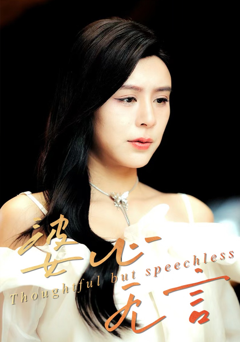 婆心无言封面图