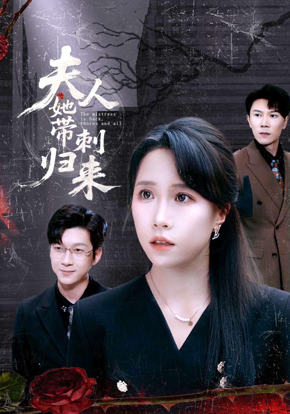 夫人她带刺归来