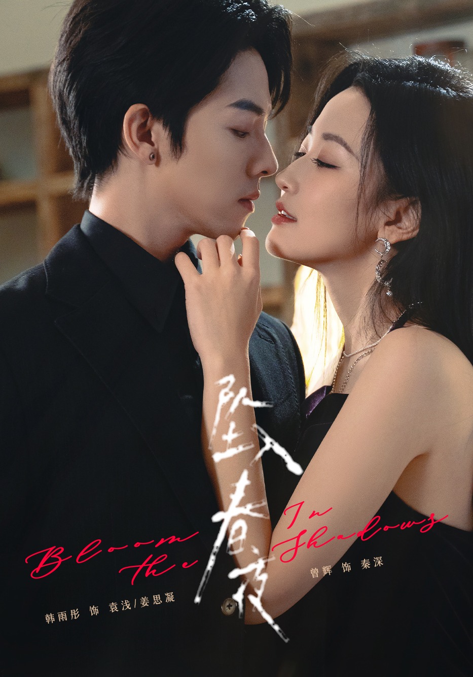 坠入春夜封面图