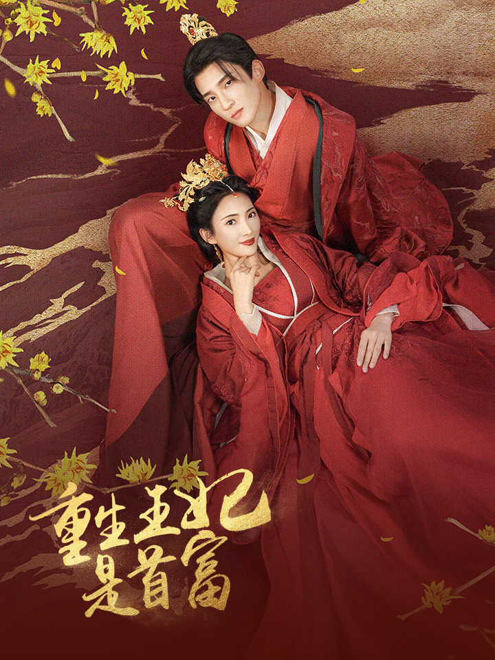 重生王妃是首富