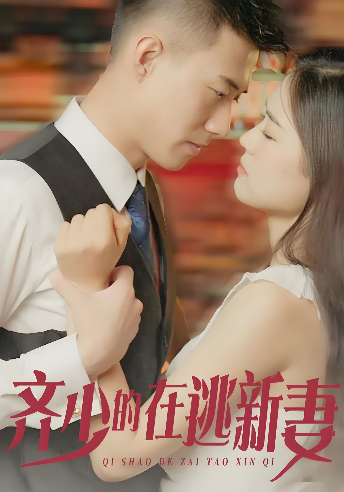 齐少的在逃新妻