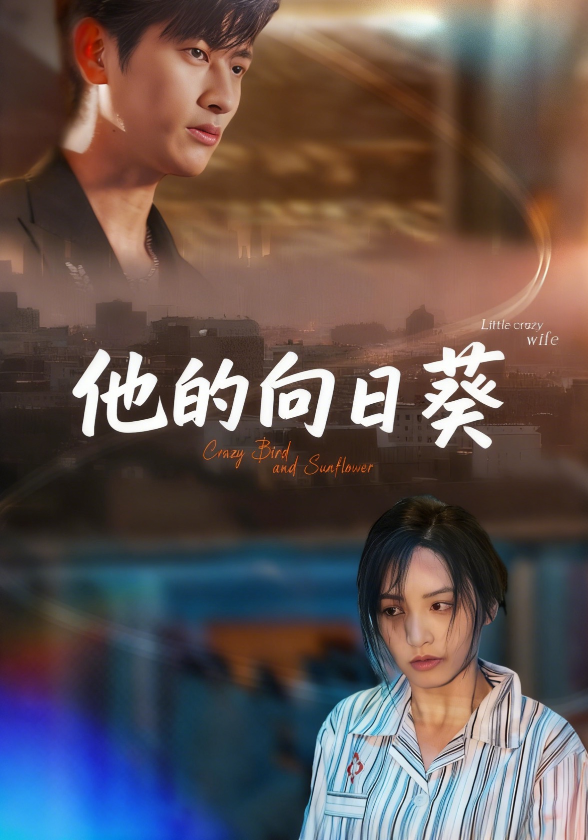 他的向日葵封面图