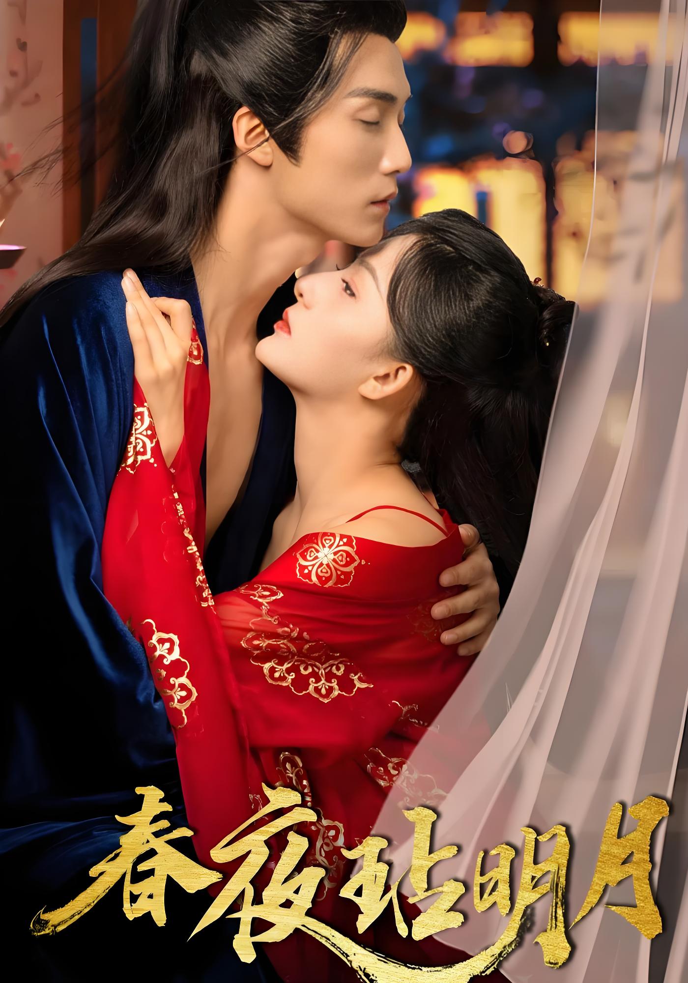 春夜玷明月封面图