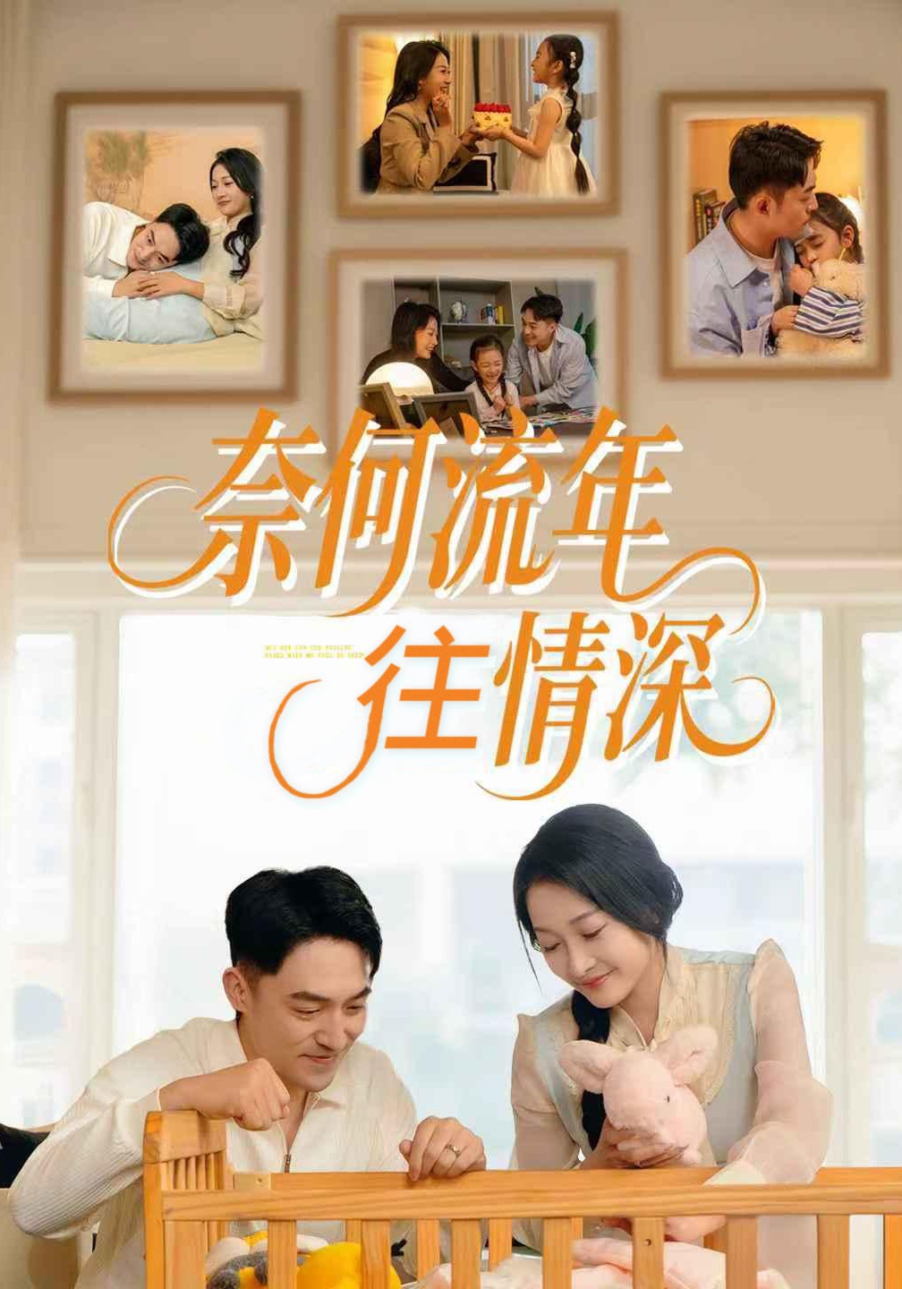 奈何流年往情深封面图