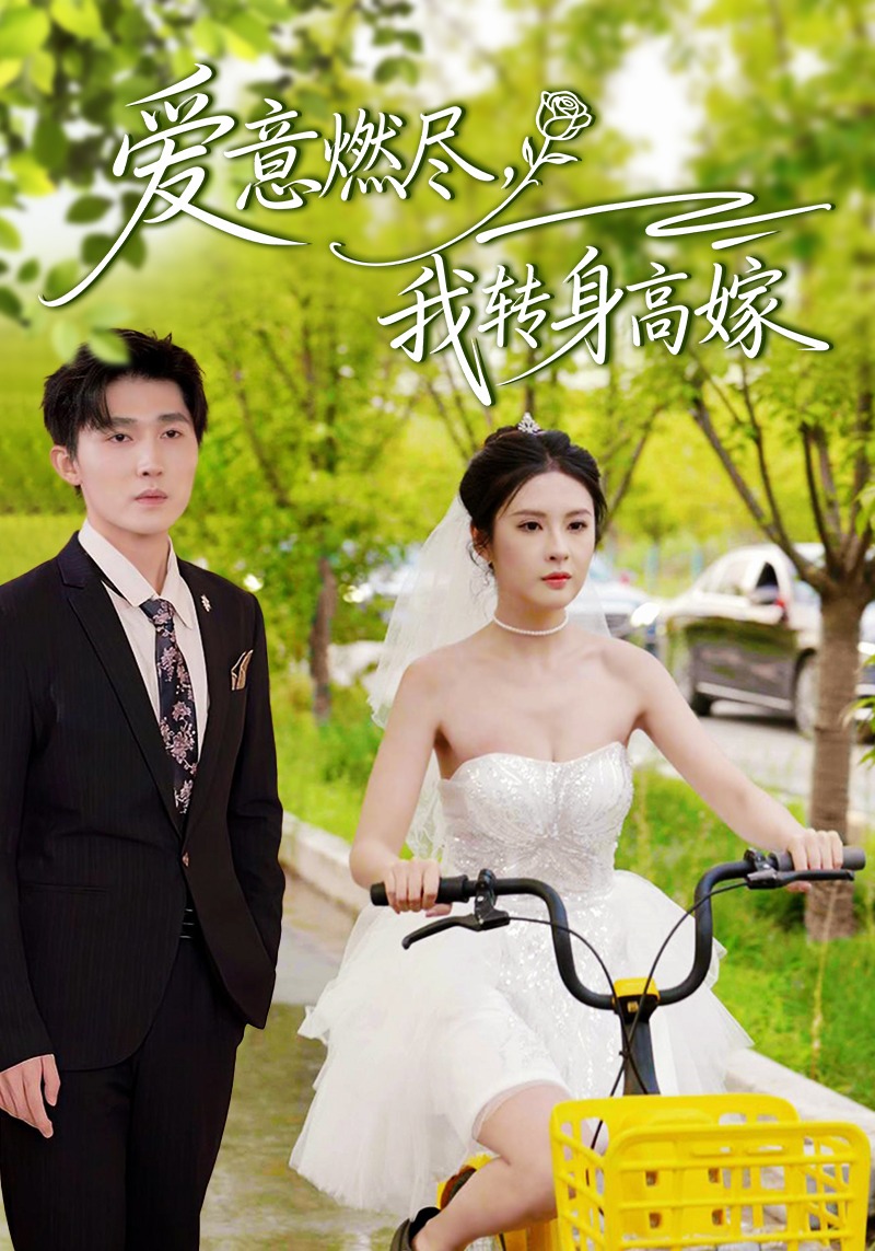 爱意燃尽，我转身高嫁封面图