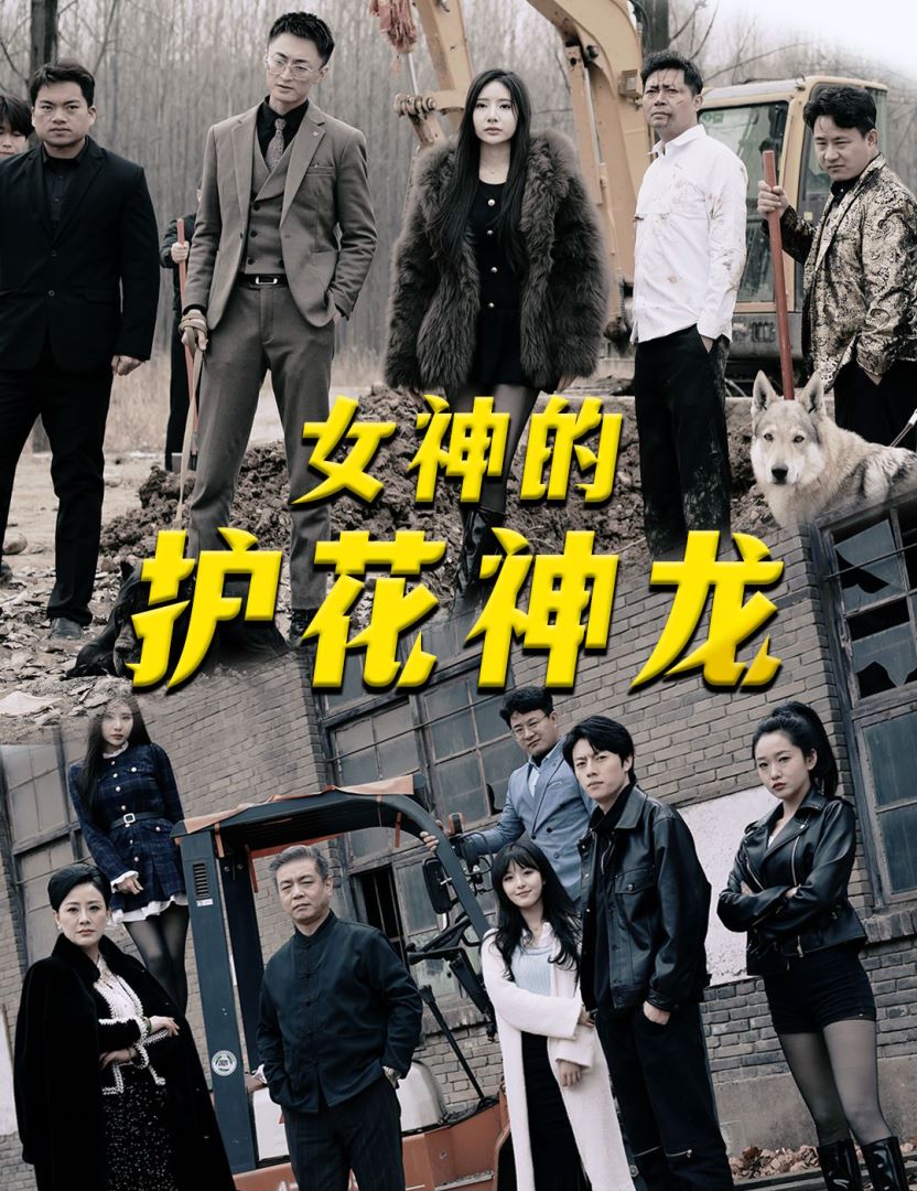 女神的护花神龙封面图