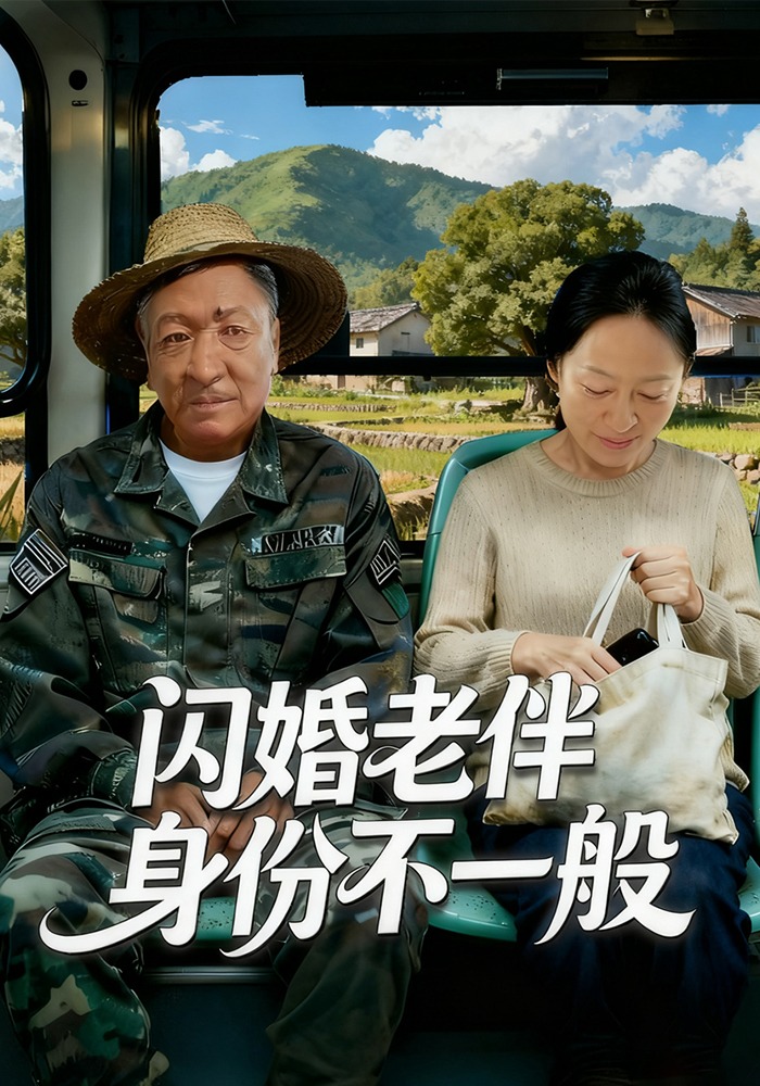 闪婚老伴身份不一般封面图