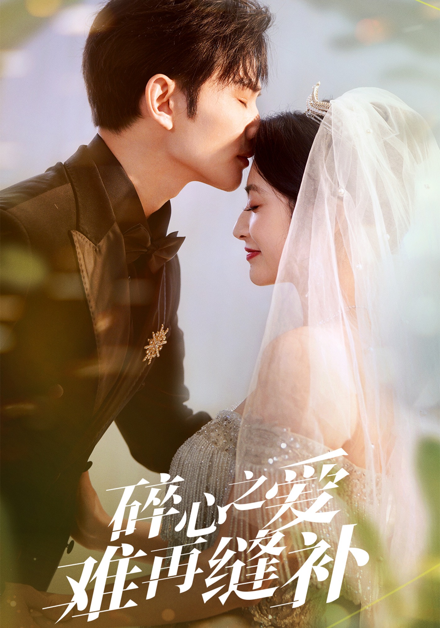 碎心之爱，难再缝补封面图